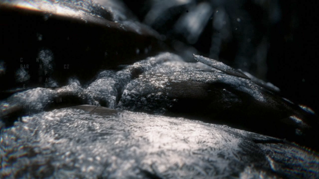 Captura real de Crysis 3 publicada originalmente en Aketdoy: crysis3 2013-02-28 14-00-44-17 Captura real de Crysis 3 publicada originalmente en Aketdoy: crysis3 2013-02-28 14-00-44-17